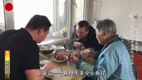 农村365,视频炖鱼里的生活哲学 农村365,视频炖鱼里的生活哲学